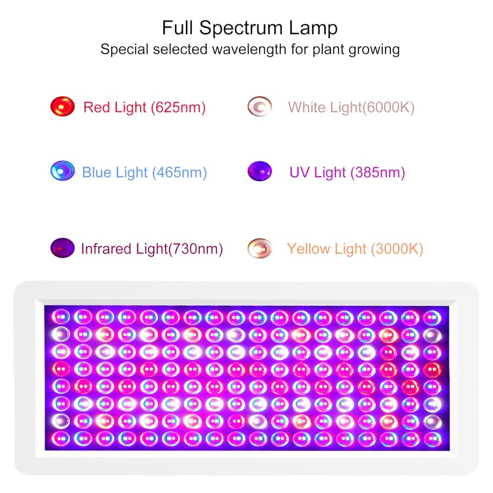 2000W UV Light Box for DIY Ici - Uv Sole Oxidation บทวิจารณ์และราคา
